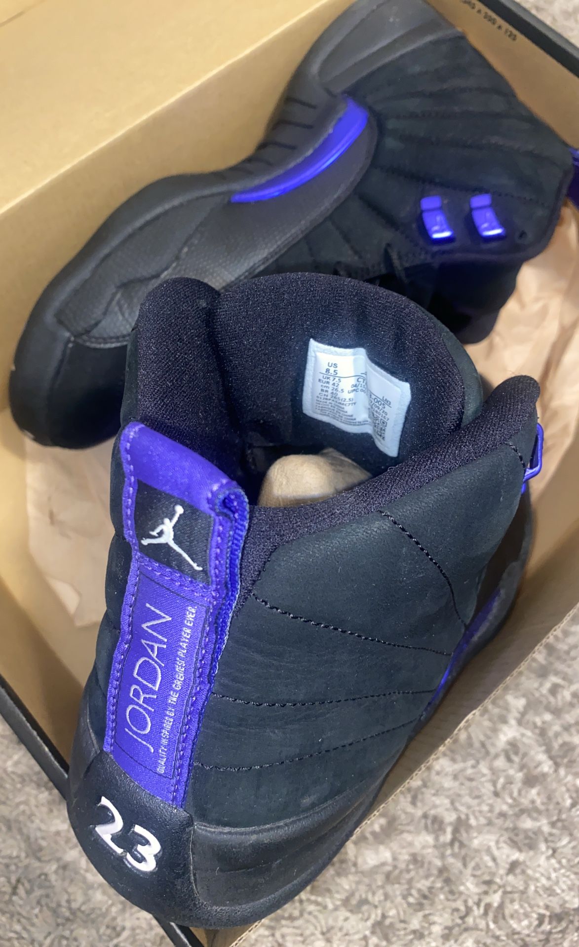Jordan Retro 12 Concord