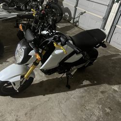 2025 Honda Grom