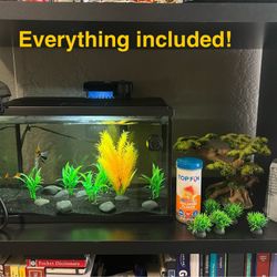 Fish Tank (5 Gallon) 