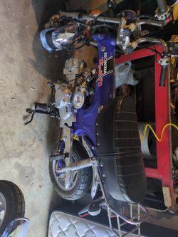 125cc Icebear Champion