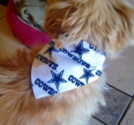 Handmade dog bandanas