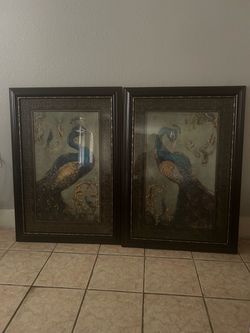Peacock Kirkland Pictures