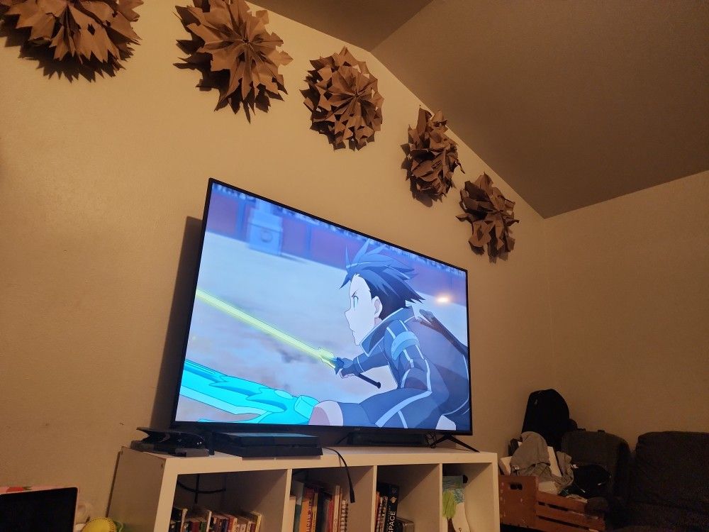 65 Inch Visio