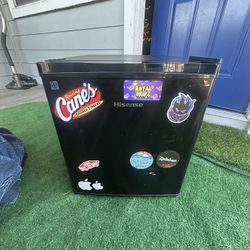 Mini Fridge/Freezer