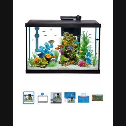 Fish Tank 
