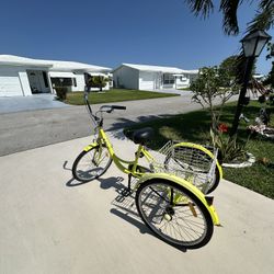 Knus tricycle sale