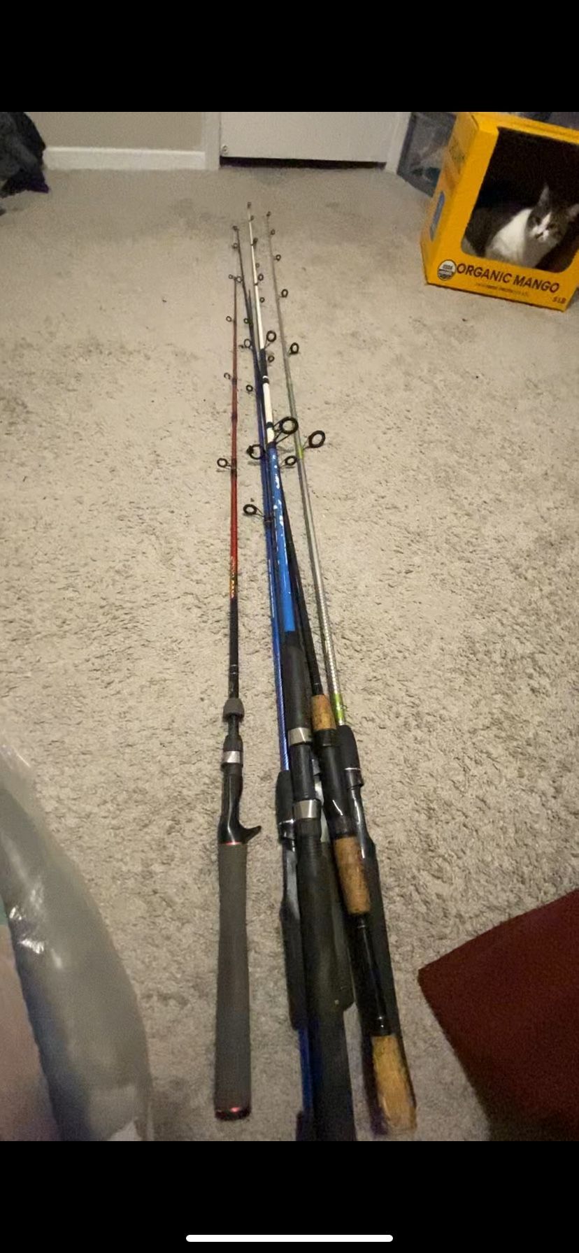 6 Fishing Rods Used Good Condition