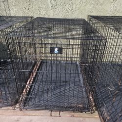 XL Kennel