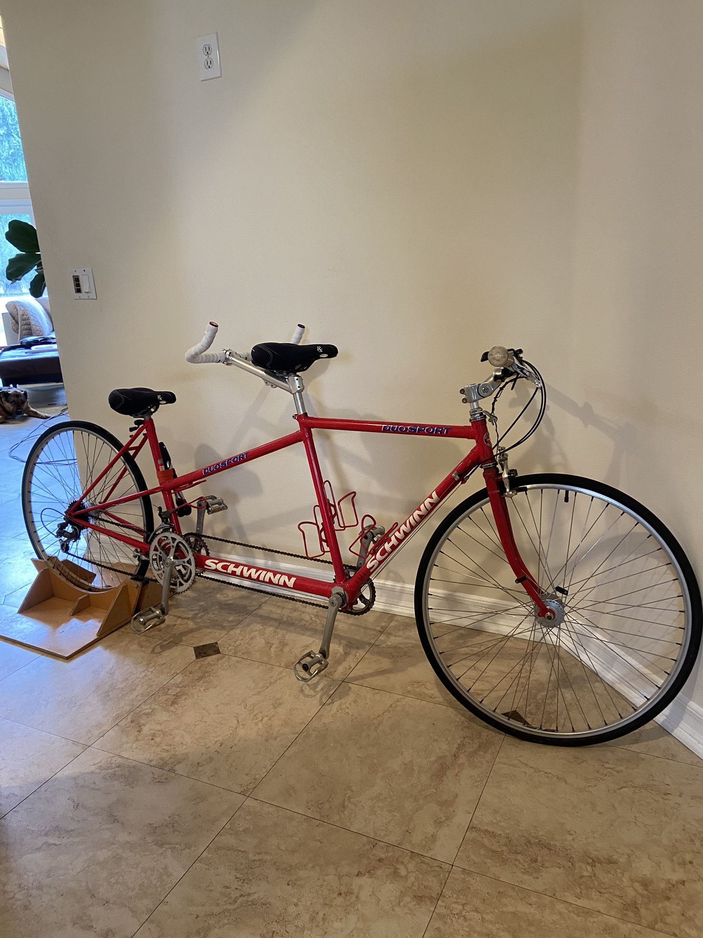 Schwinn duosport tandem new arrivals