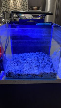 Glofish All In One Nano Tank 