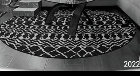 Rug