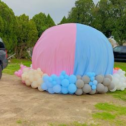 Gender Reveal 