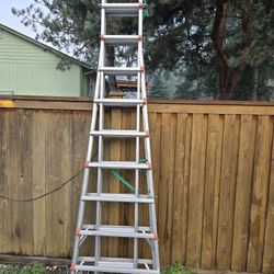 Little Giant skyscraper Ladder