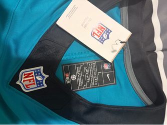 Jaguar jersey