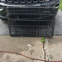 Large Dog Crate