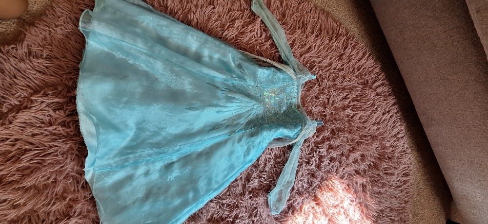 Elsa Dress/Costume