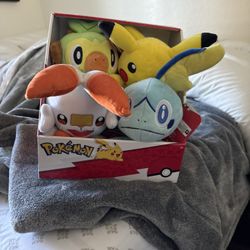 Pokemon Plushies