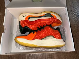 Jordan Luka 4 Gone GS