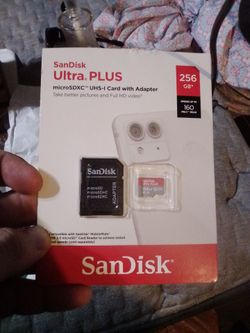 256 gb SanDisk ultra plus