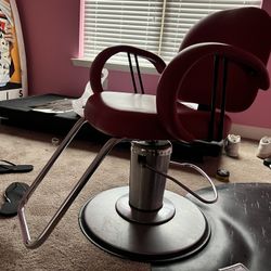 Salon Chair