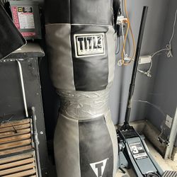 Title Punching Bag