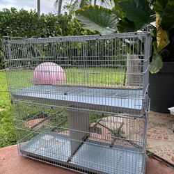 Bird Cage 