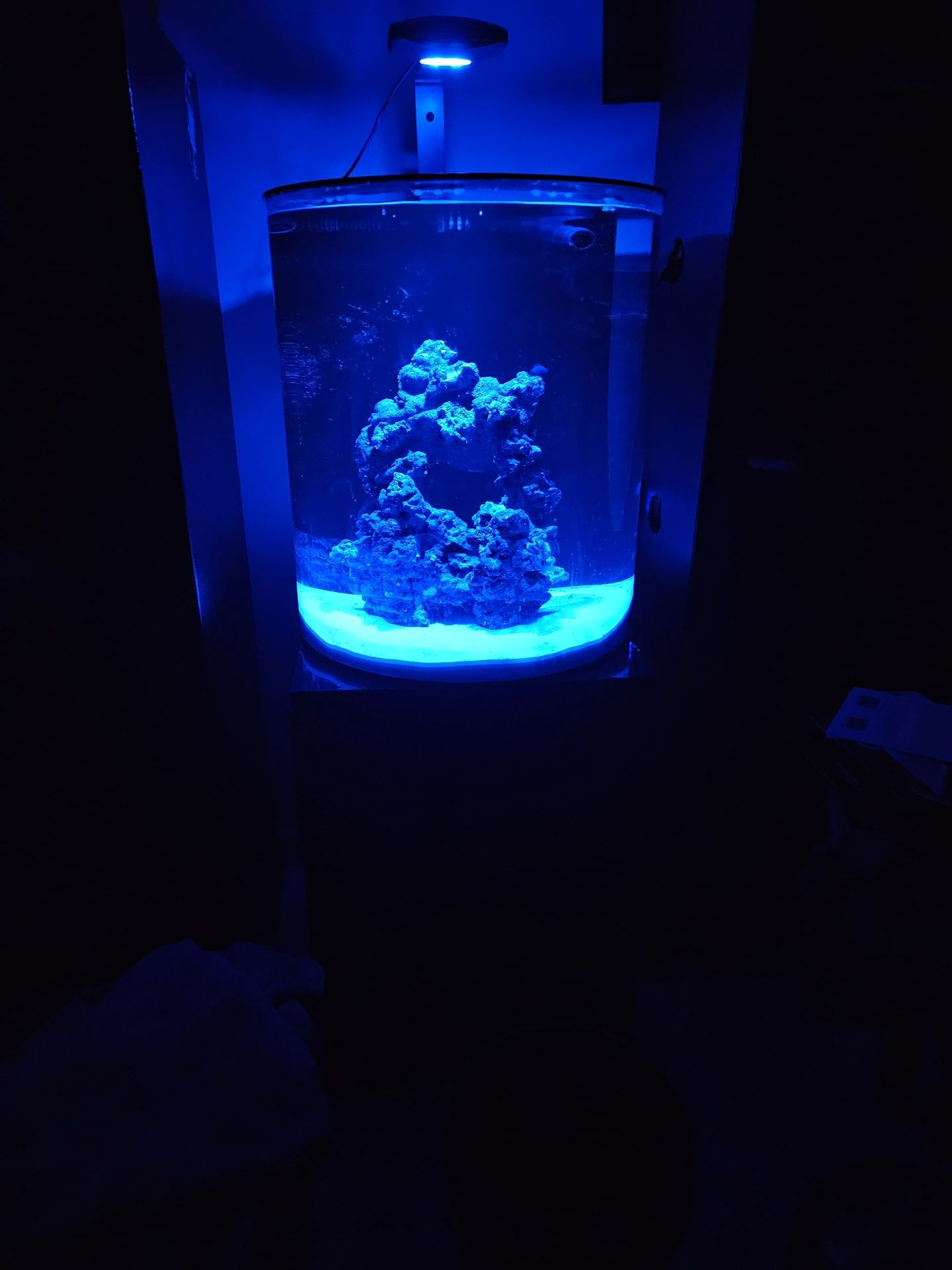Salt Water Tank