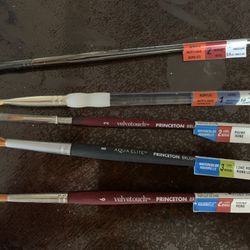 Acrylic Brush’s