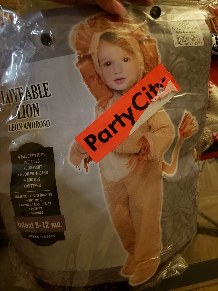 Baby lion