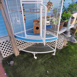 Bird Cage