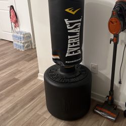 Everest Punching And Kicking Bag 