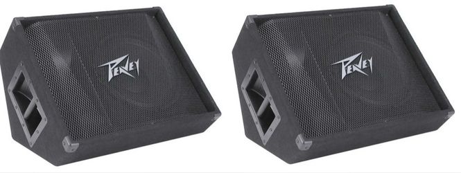 Pair of PV 15M Floor Monitors (Willing to sell separately ) – Stage Ready