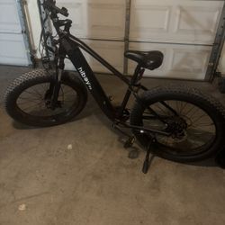 Hi-boy P6 E Bike
