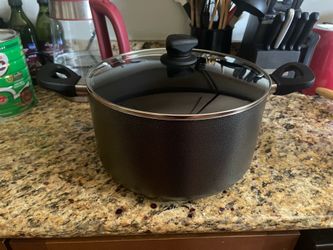 Non stick 10qt pot