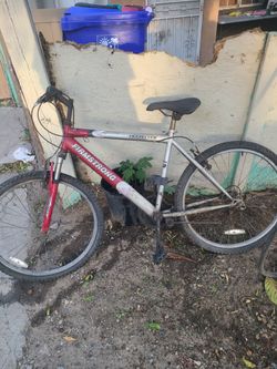 Firmstrong Traveller Mountain Bike