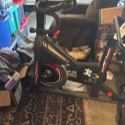 Dmasun Exercise Bike