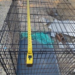 Dog Crate