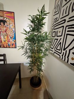 Fake plants and Tree