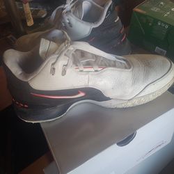 Nike labron James basketball shoes