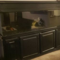 125 Gallon Fish Tank And  Canopy
