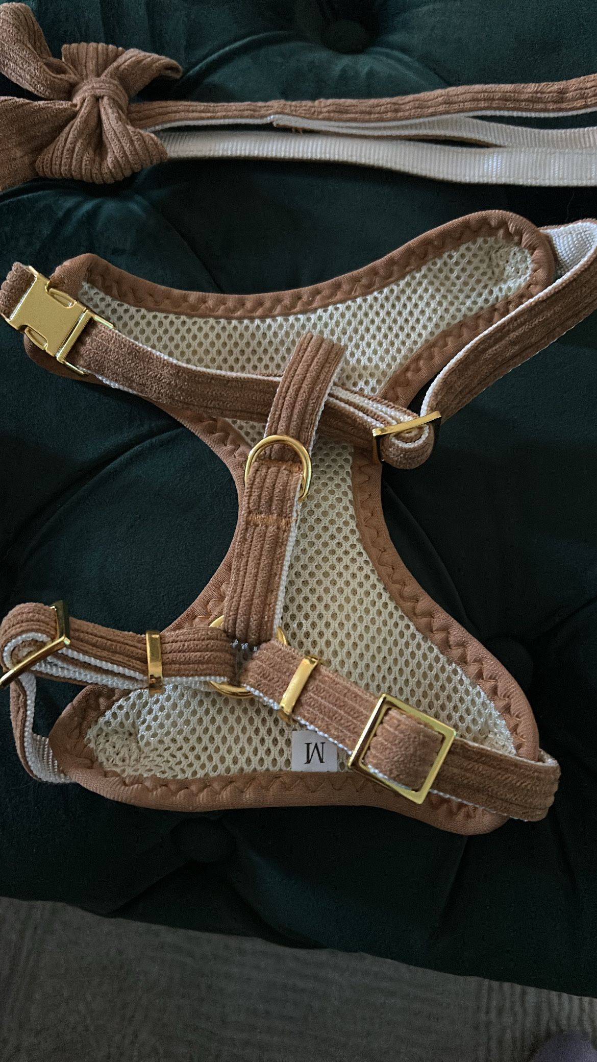 Medium dog collar
