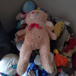 $1 Each Bunch Of Teddy Bears