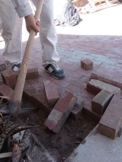 Free bricks