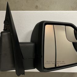 Ford F-150 OEM Driver Side Mirror