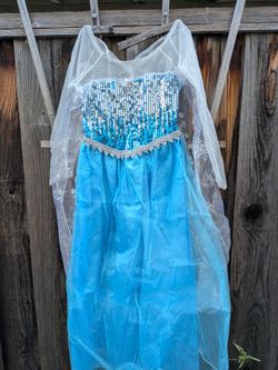 Elsa Frozen Halloween costume