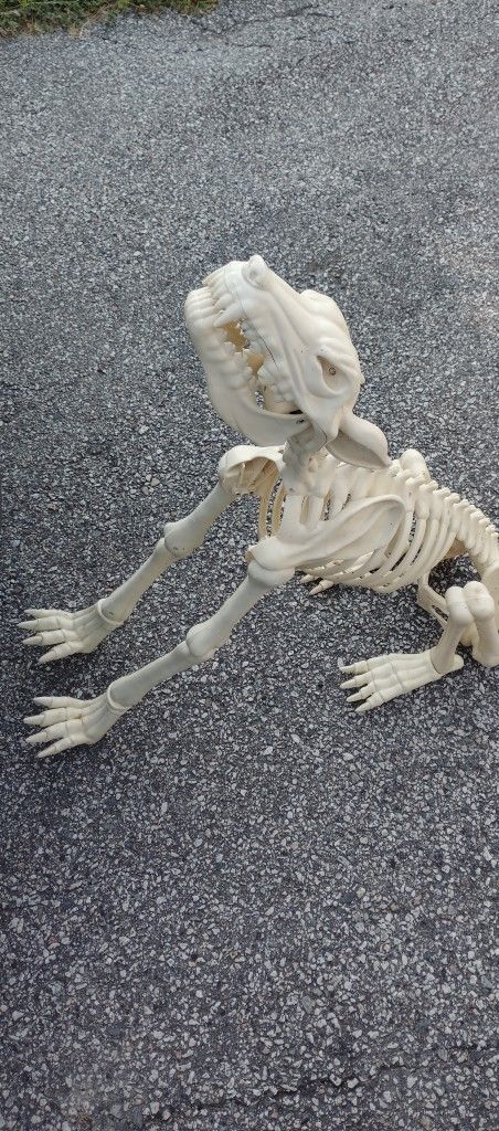 Halloween Decorations
