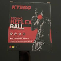 Boxing Reflex Ball