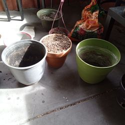 Lots of Planter Pots