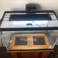 Aquarium Fish Tank