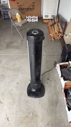 Fan